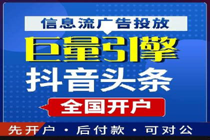 竞价广告策略案例分析